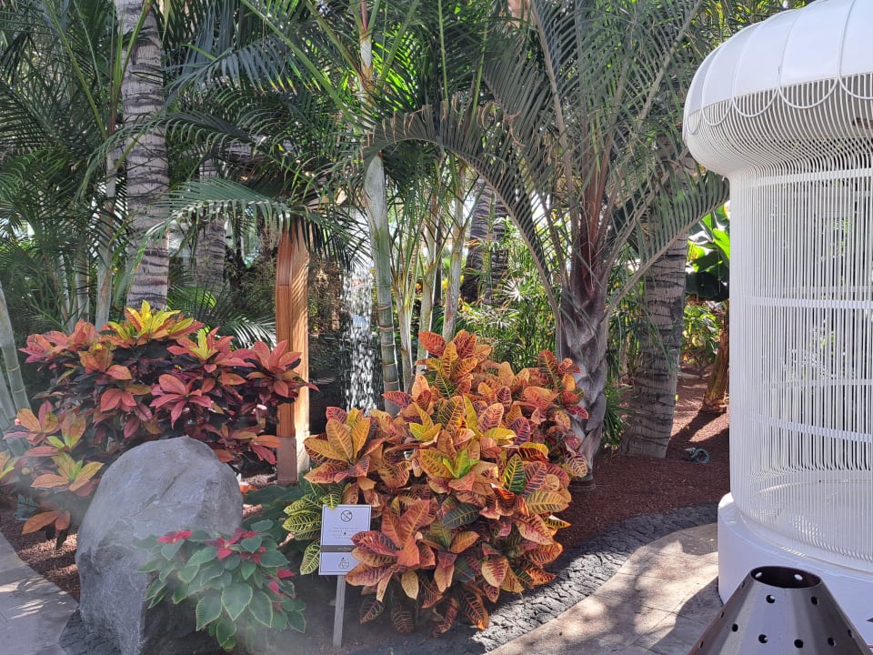 Gartenanlage Hotel Fariones