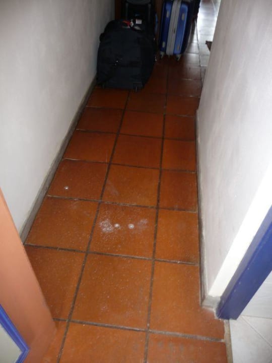 Flur Club Hotel Dolphin