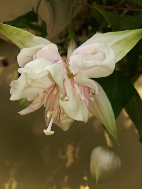 Gartenanlage Bauernhof Malehof