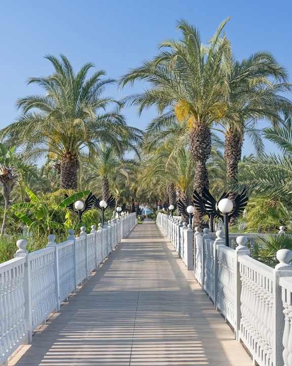 Pool Royal Wings Hotel