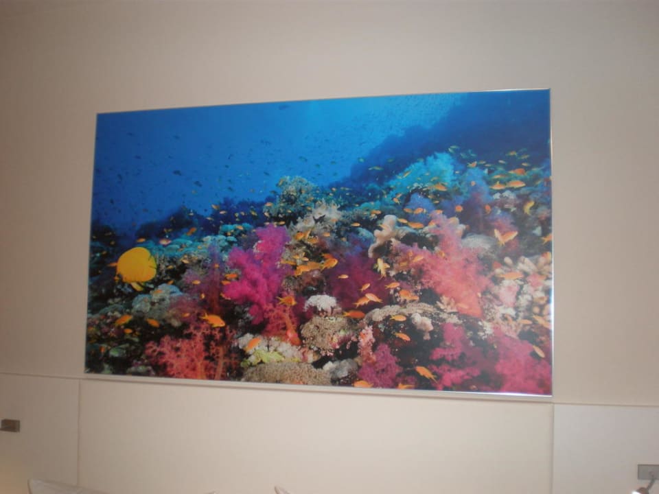 Alles aufeinander abgestimmt Friendly Cityhotel Oktopus