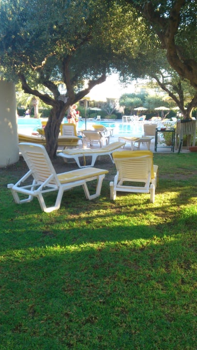 Liegen unter Olivenbäumen TUI KIDS CLUB Alex Beach