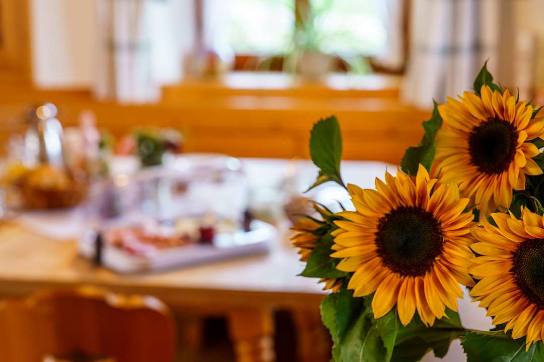 Sonstiges Bergerhof Gmund Familie Lutz