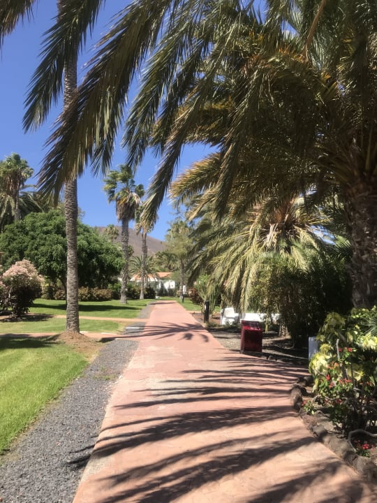 Gartenanlage Aldiana Club Fuerteventura