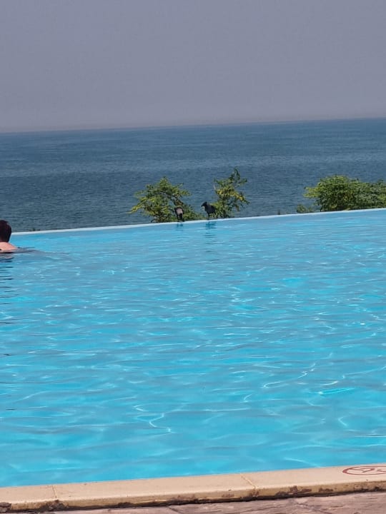 Pool The Cove Rotana Resort