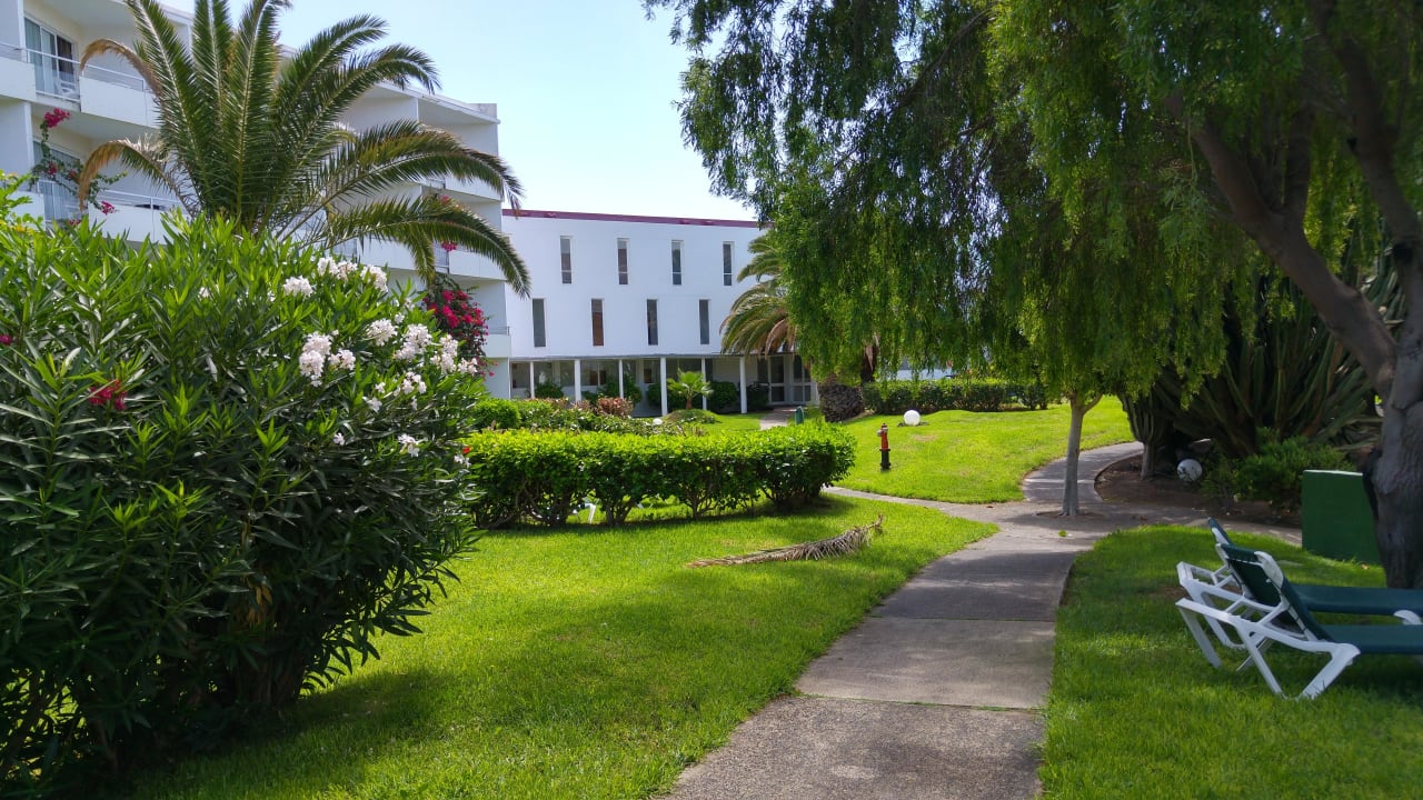 Oben in der Anlage allsun App.-Hotel Esquinzo Beach
