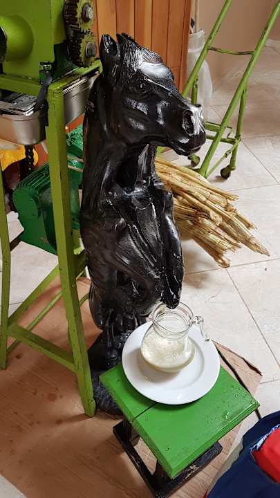 Gastro Sirenis Tropical Varadero