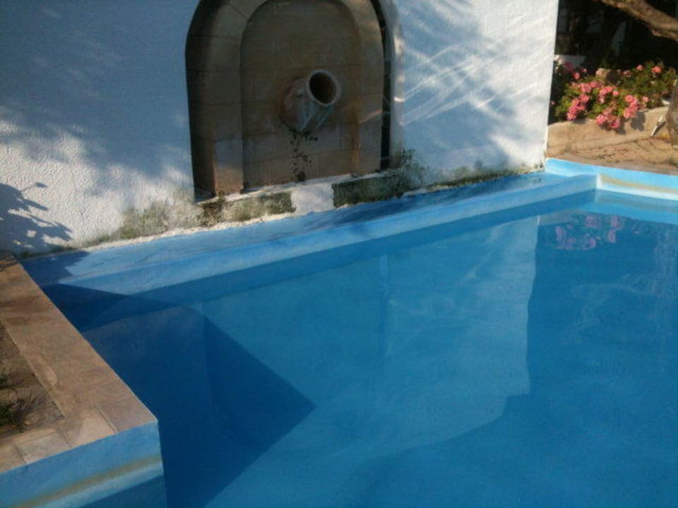 Schimmel am Pool TUI KIDS CLUB Alex Beach