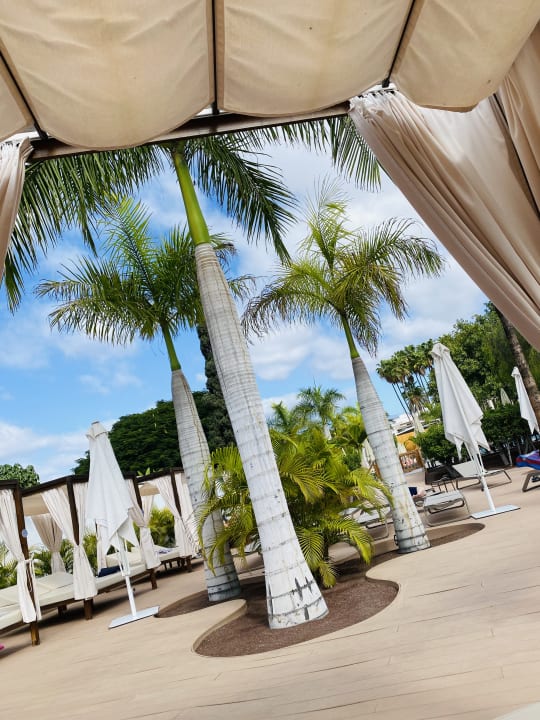 Pool Barceló Margaritas Royal Level