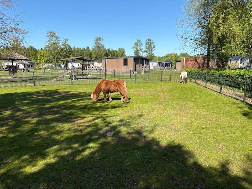 Sport & Freizeit Camping & Bungalows RCN Zeewolde