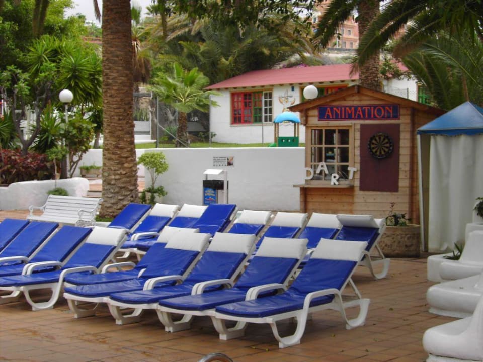 Liegen am Pool Hotel Ponderosa