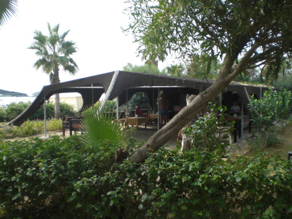 Beduinenzelt Kaya Belek Hotel