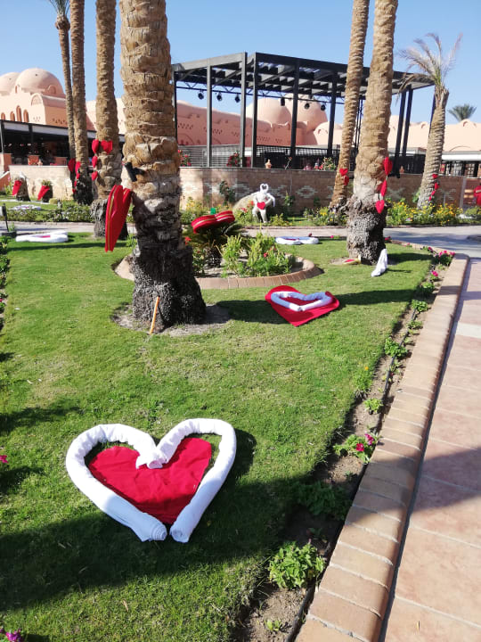 Gartenanlage Jaz Makadi Oasis Resort