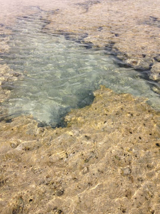 Strand Serenity Alpha Beach