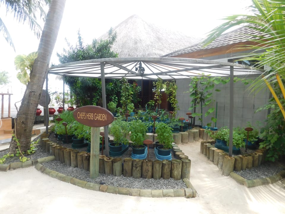 Sonstiges Kuredu Island Resort & Spa