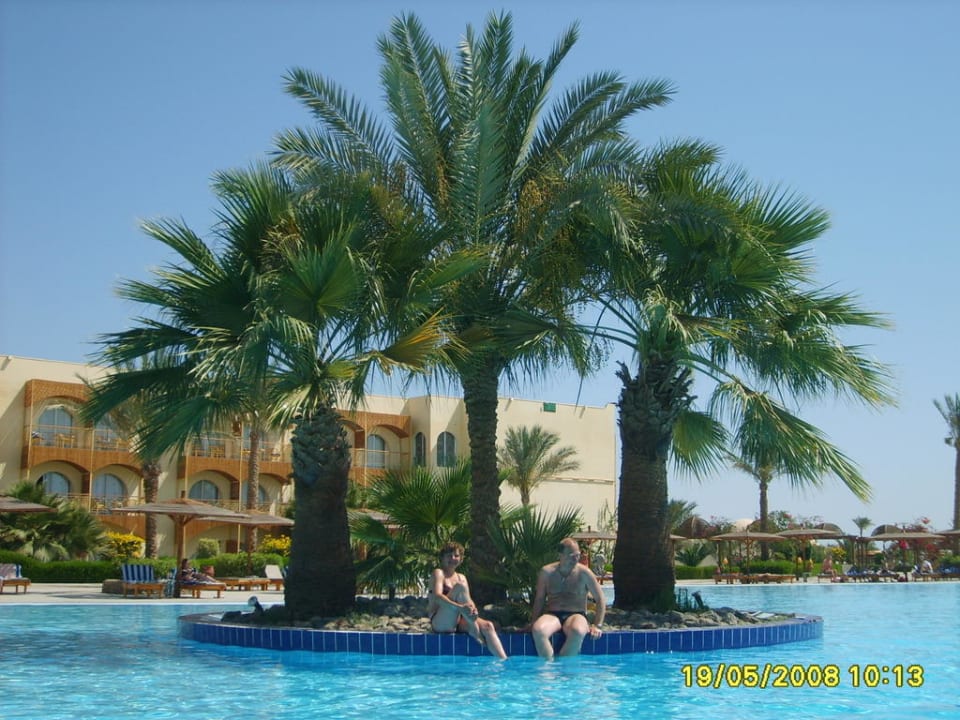 Bezludna? wyspa. Desert Rose