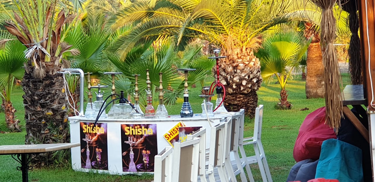 Garten Seaden Sea World Resort & Spa