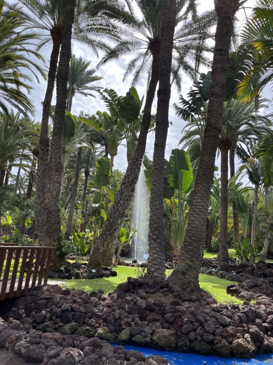 Außenansicht Hotel Riu Palace Oasis