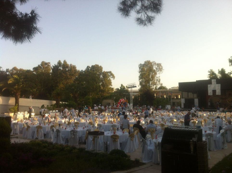 Gala Night Asteria Collection Side