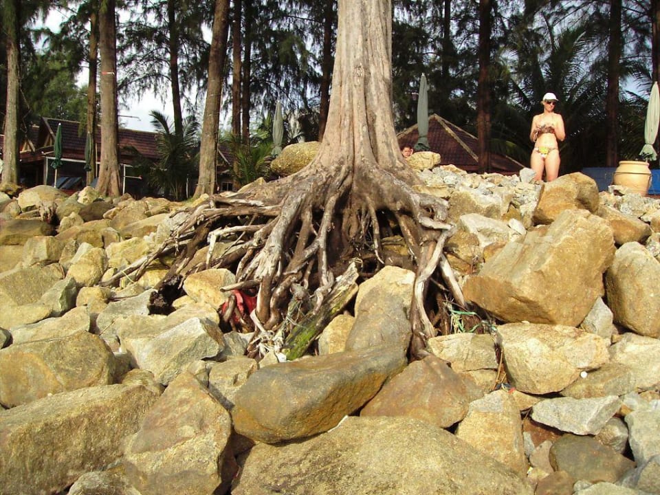 Strand Best Western Premier Bangtao Beach Resort & Spa