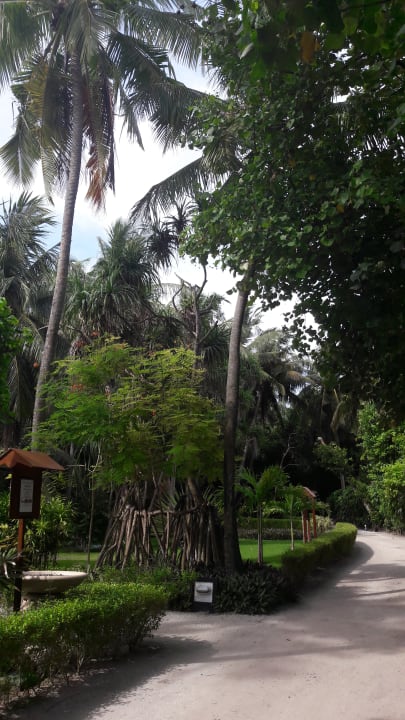 Gartenanlage Adaaran Select Meedhupparu Island Resort - Premium All Inclusive