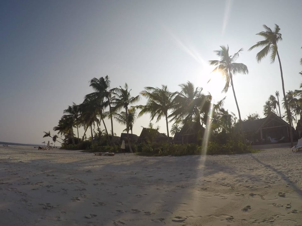 Strand vor den Beachvillas Milaidhoo Maldives