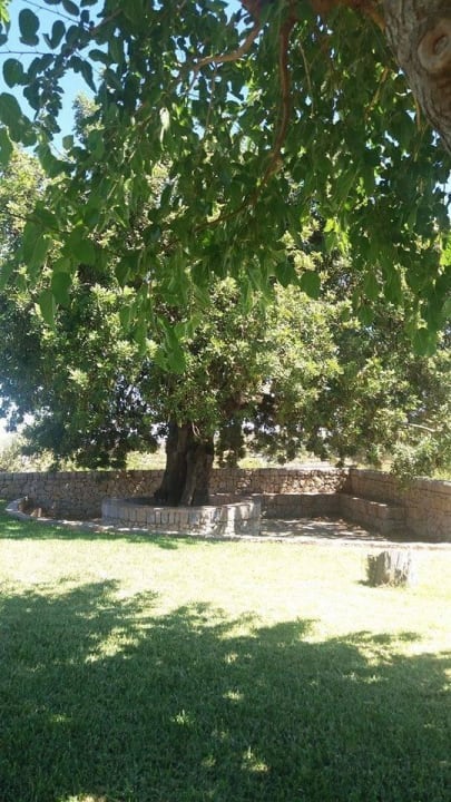 Weekend at the Finca Finca Sa Vinya des Putxet Mallorca