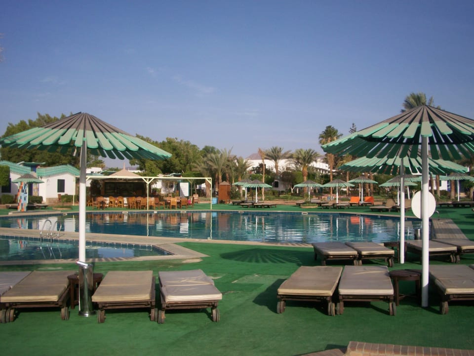 Ideal zum Relaxen Ghazala Beach