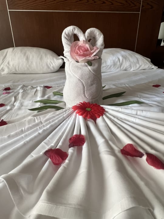 Zimmer Sunis Elita Beach Resort & Spa