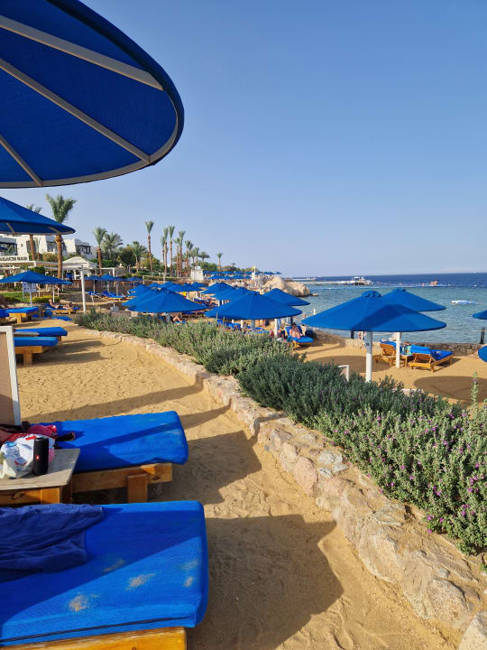 Strand Pickalbatros Royal Grand Resort - Sharm El Sheikh