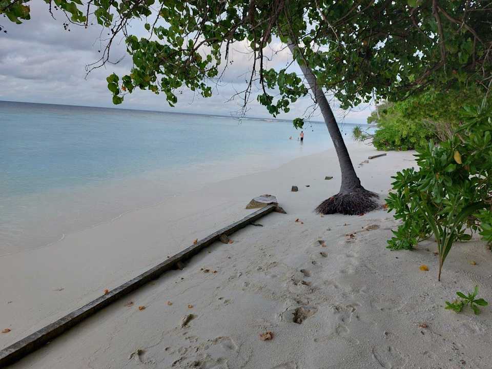 Außenansicht Vilamendhoo Island Resort & Spa