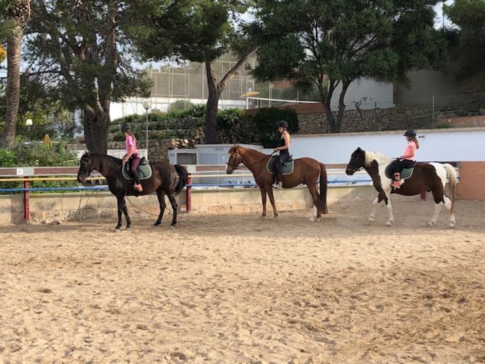 Sport & Freizeit Sun Club Eldorado