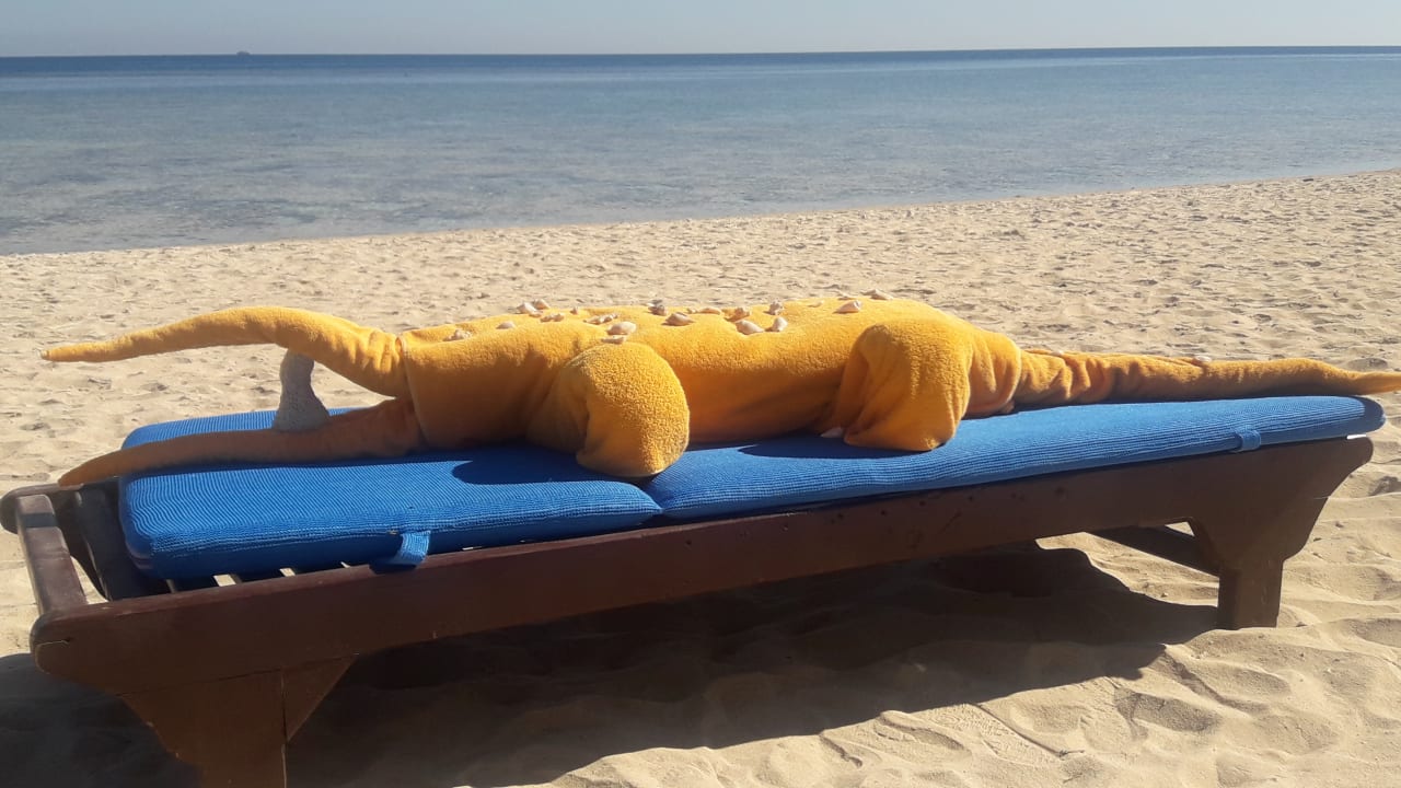 Strand Novotel Marsa Alam Beach Resort