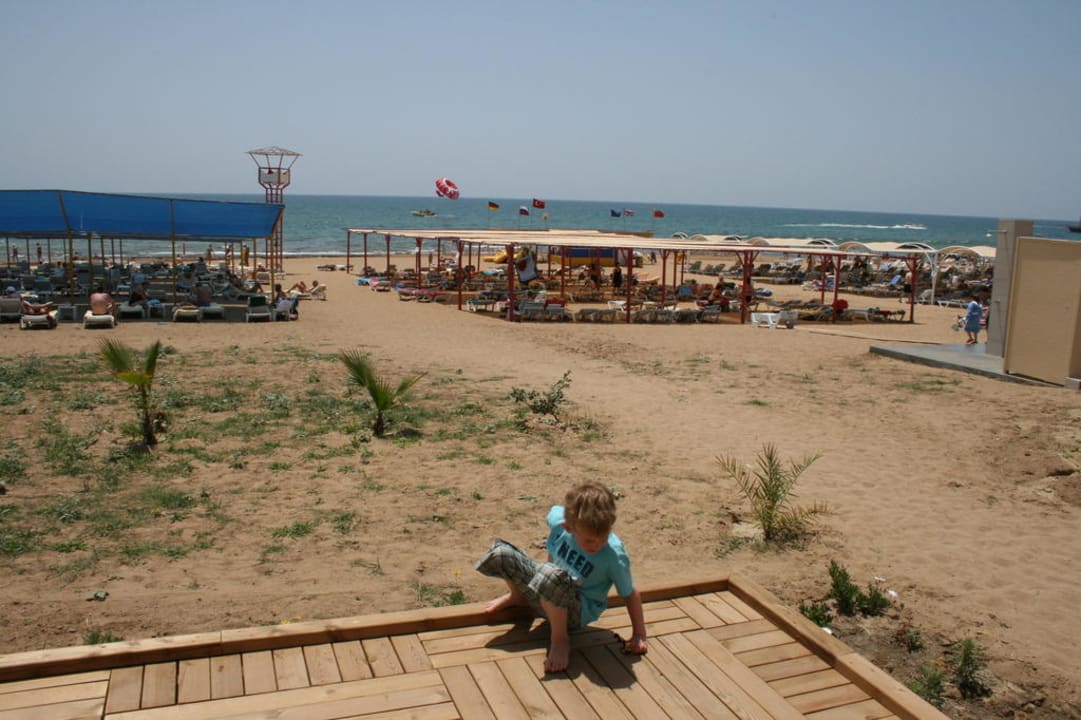 Blick von Strandbar Hotel Orfeus Park