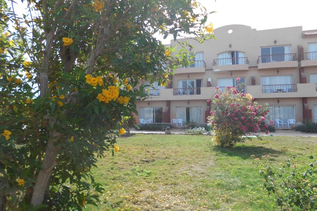 Zimmer Pensée Royal Garden Beach Resort
