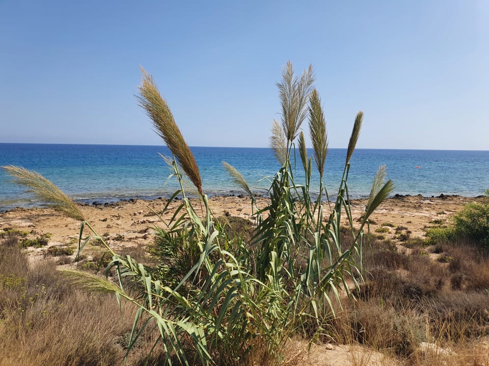 Strand Crystal Springs Beach Hotel