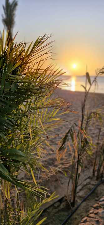 Strand Jaz Makadina