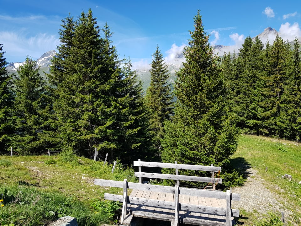 Ausblick Agroturisem Alp Flix
