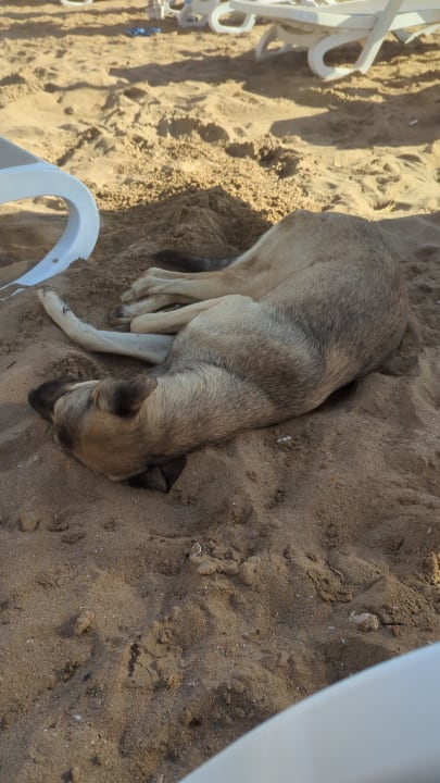 Strand Melas Resort Hotel