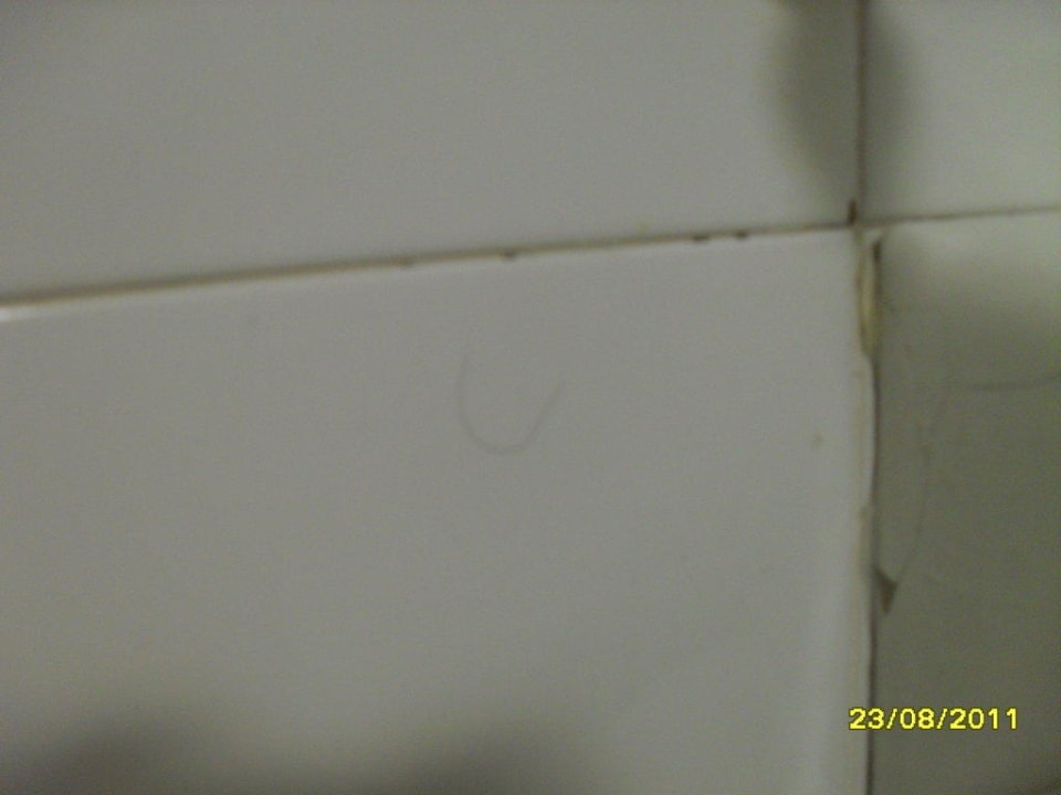 Dreck an den Wandfliesen vom Bad Centro Vacanze La Limonaia