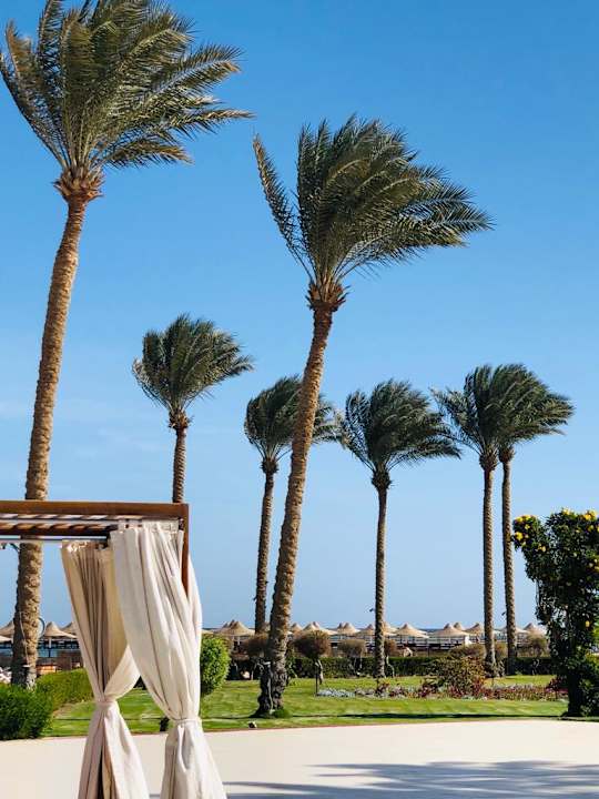 Gartenanlage Cleopatra Luxury Resort Makadi Bay