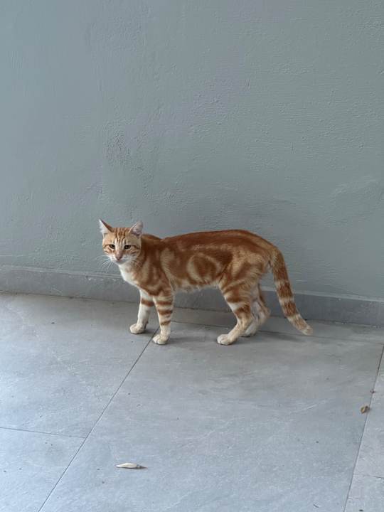 Gartenanlage Portes Lithos Luxury Resort