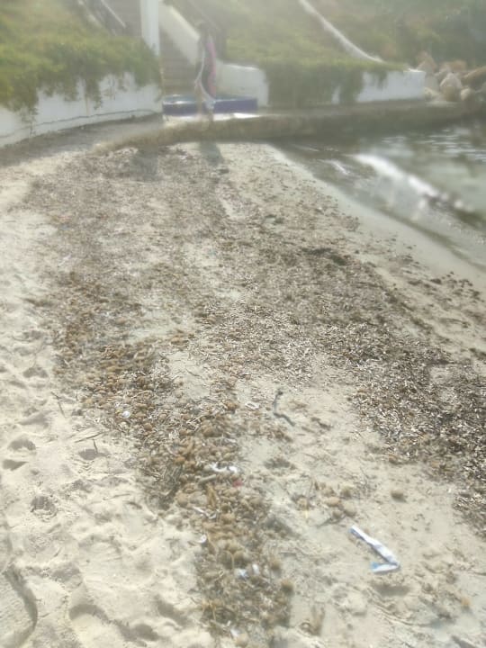 Strand REGENCY Hotel & Spa