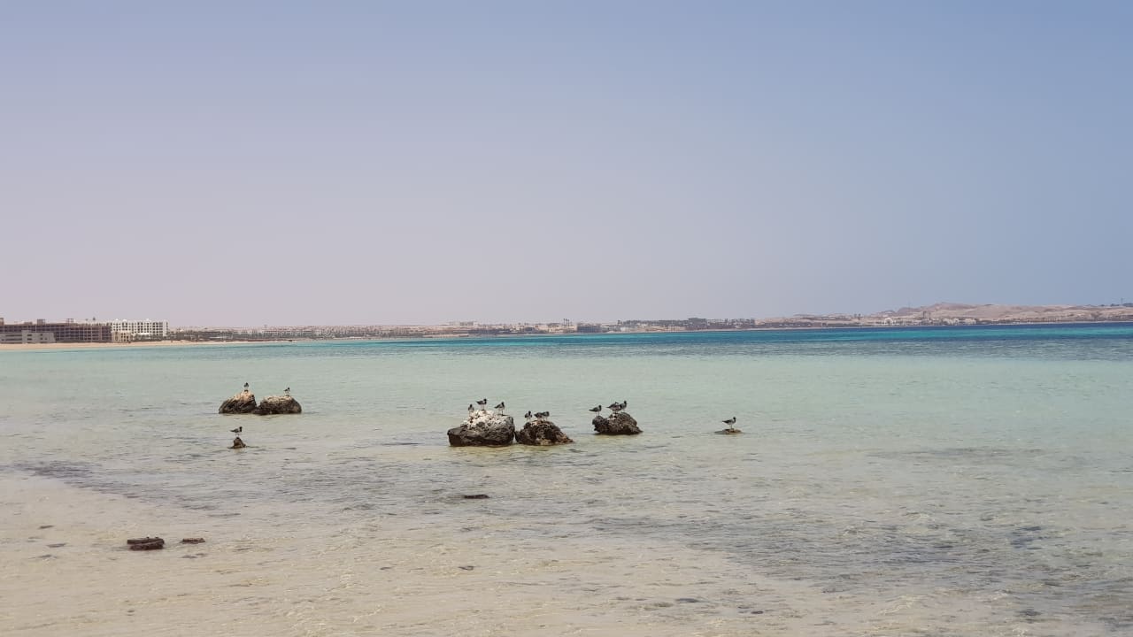 linke Seite vom Hotel, unbebaut Makadi Spa - Adults only