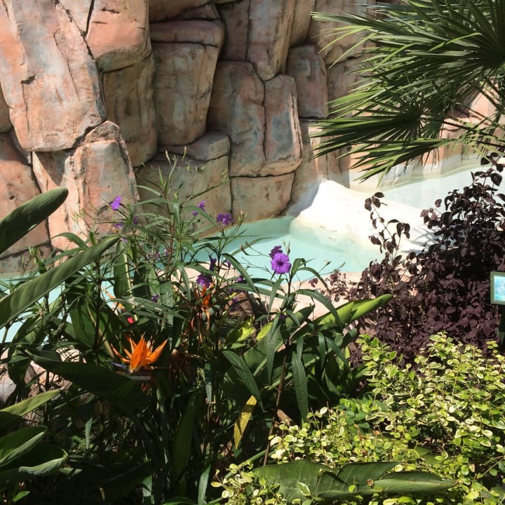 Aydinbey Kings Palace & Spa  Aydinbey Kings Palace & Spa