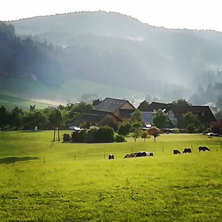 Ausblick Der Trattner - Hotel Trattnerhof & Hotel Schöcklblick