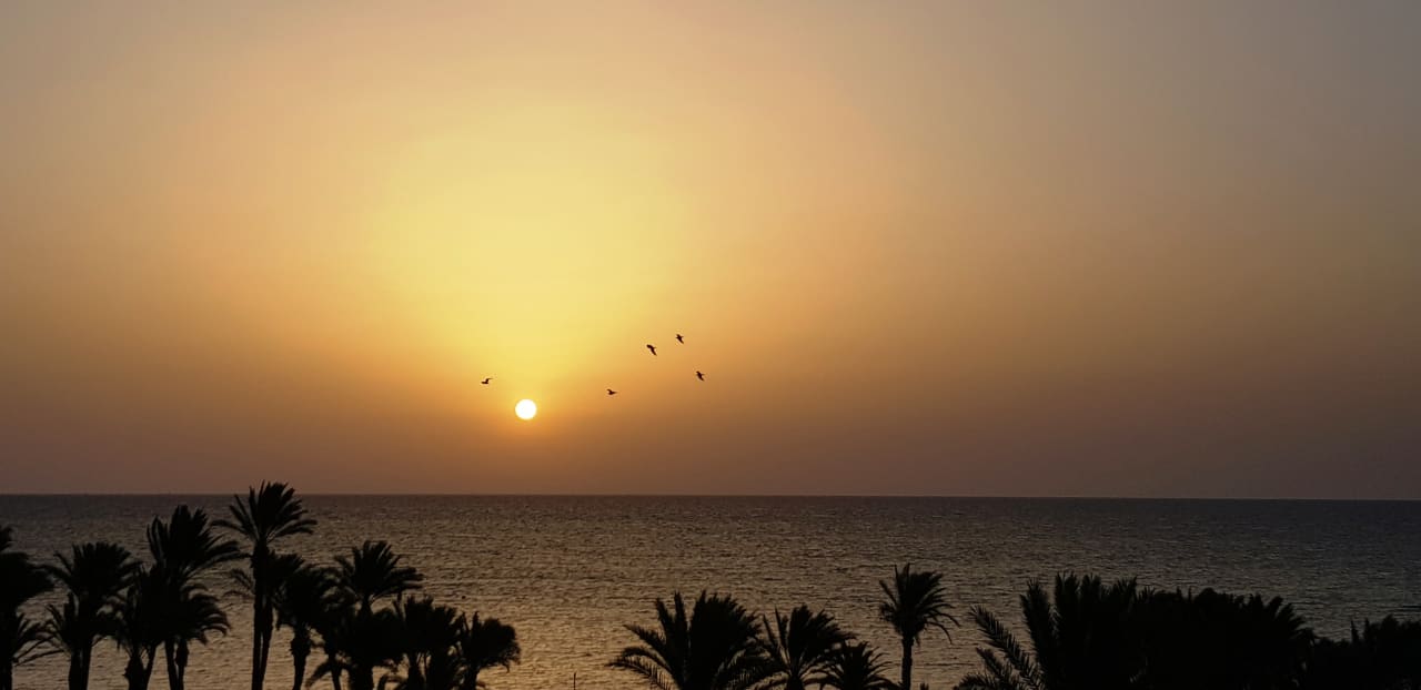 Ausblick TUI BLUE Scheherazade