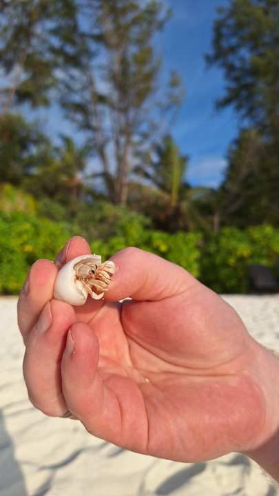 Sonstiges Summer Island Maldives