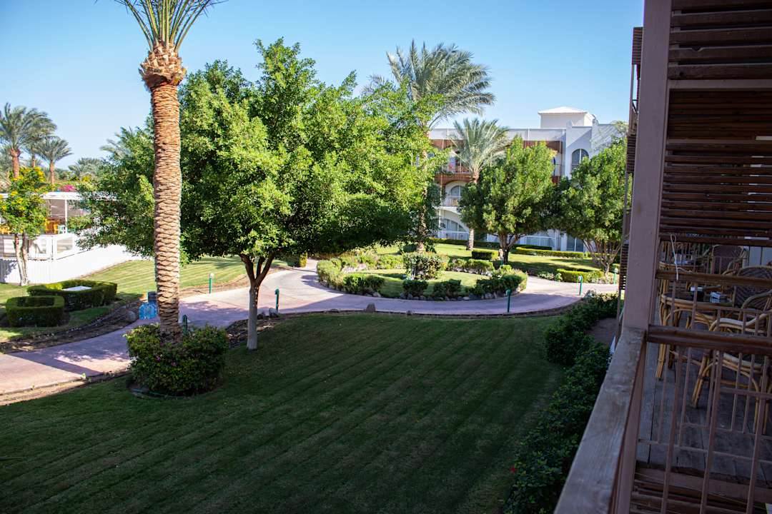 Gartenanlage Desert Rose