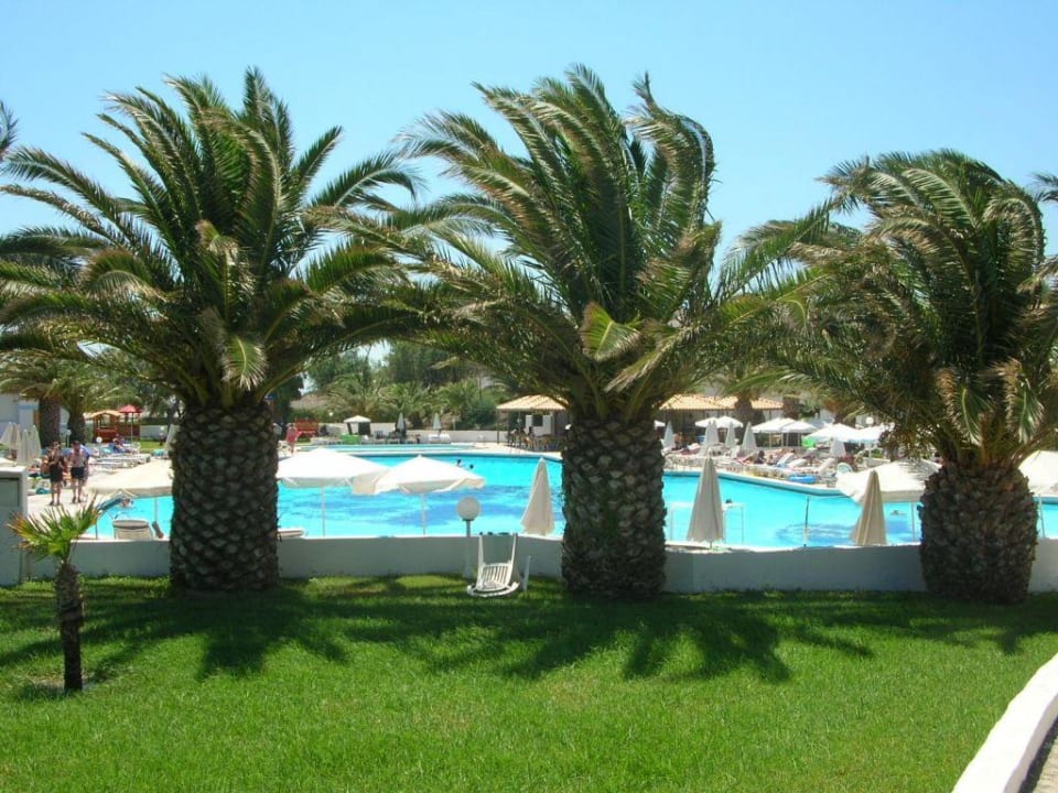 Palmen am Pool Lagas Aegean Village